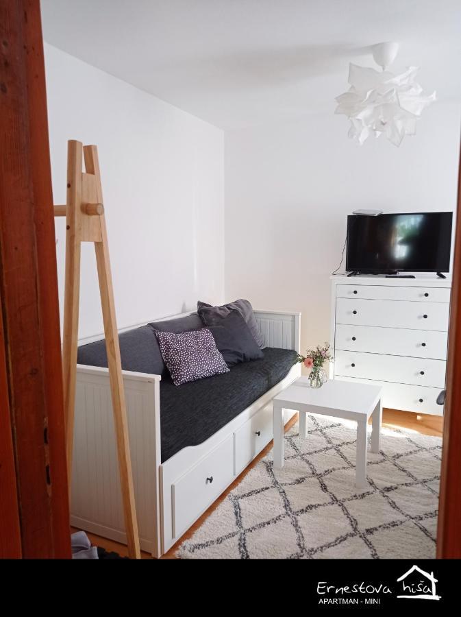 Apartment Ernestova Hisa Lokve Exterior foto